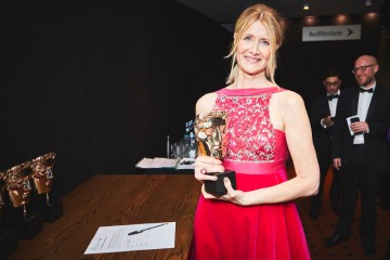 Laura Dern - Supporting Actress - Marriage Story
