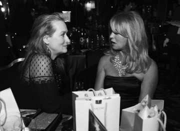 Meryl Streep and Goldie Hawn at the 2009 Film Awards