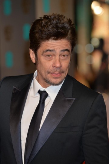 Benicio Del Toro, nominated for his supporting role in Sicario, takes to the red carpet