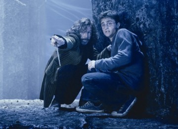 Harry and pure-blood wizard Sirius Black (played by Gary Oldman) face a treacherous situation in this scene of the fifth film.
